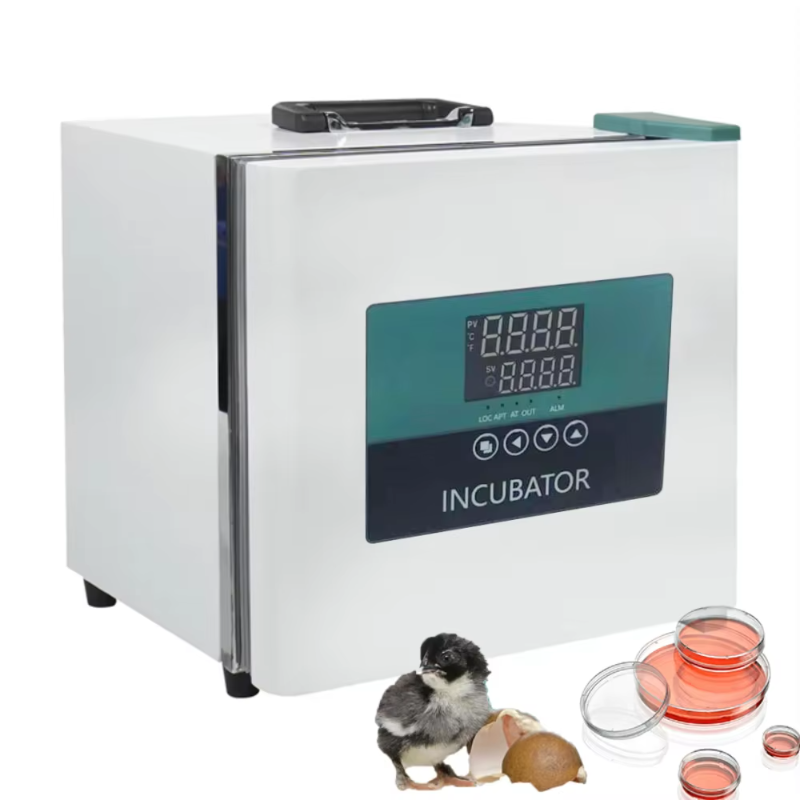 Medical Lab Microbiology - Lab Portable Vehicle-mounted Incubator 9L Seed
